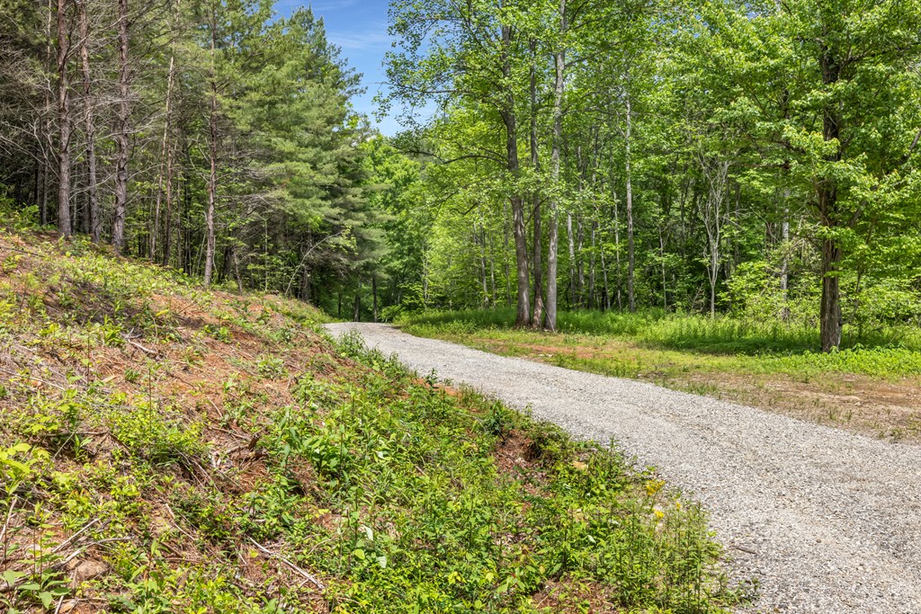 376 Eagles Rest Property Photo 26