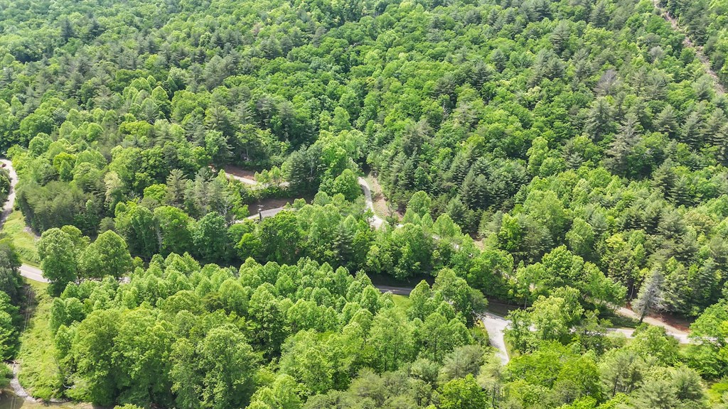 376 Eagles Rest Property Photo 28