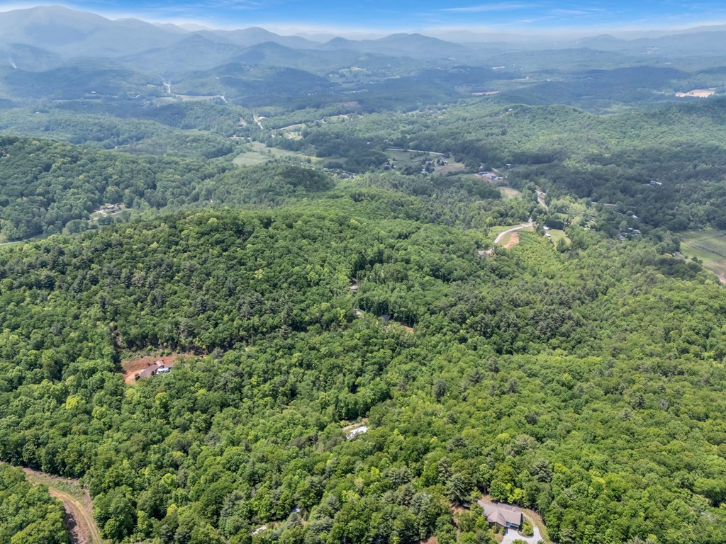 376 Eagles Rest Property Photo 29
