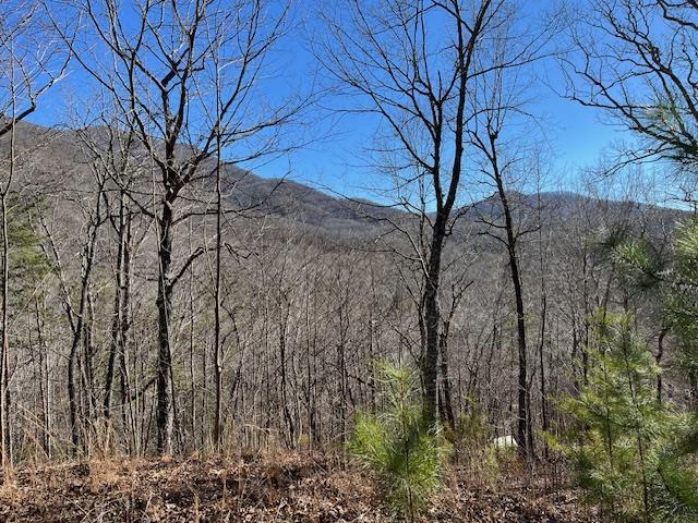 Lot 10 Mountain Valley View Property Photo 1