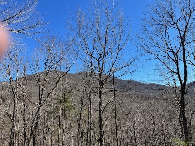 Lot 10 Mountain Valley View Property Photo 2