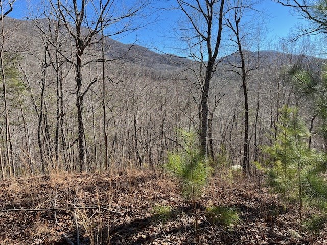Lot 10 Mountain Valley View Property Photo 3