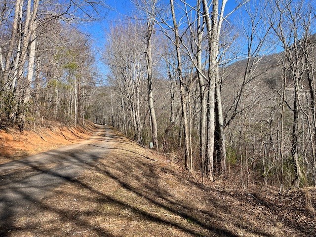 Lot 10 Mountain Valley View Property Photo 4