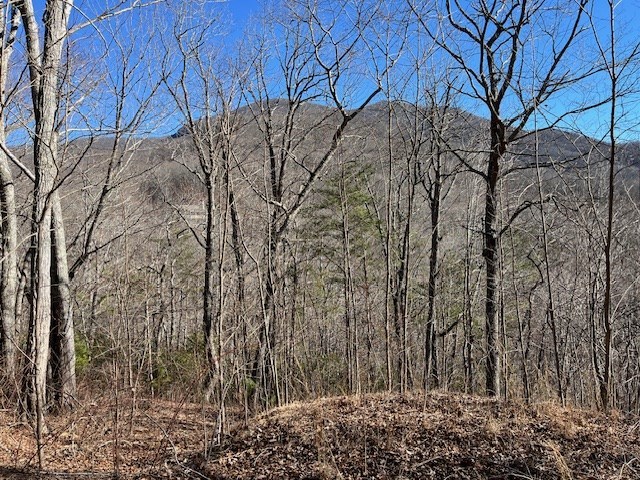 Lot 10 Mountain Valley View Property Photo 5