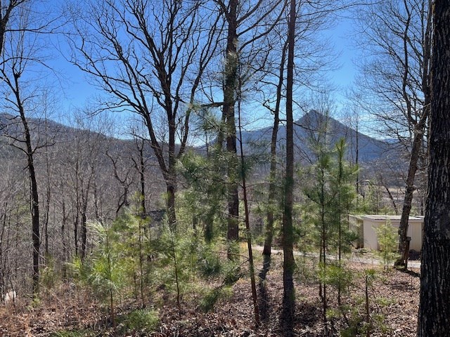 Lot 10 Mountain Valley View Property Photo 6