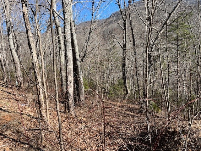 Lot 10 Mountain Valley View Property Photo 7