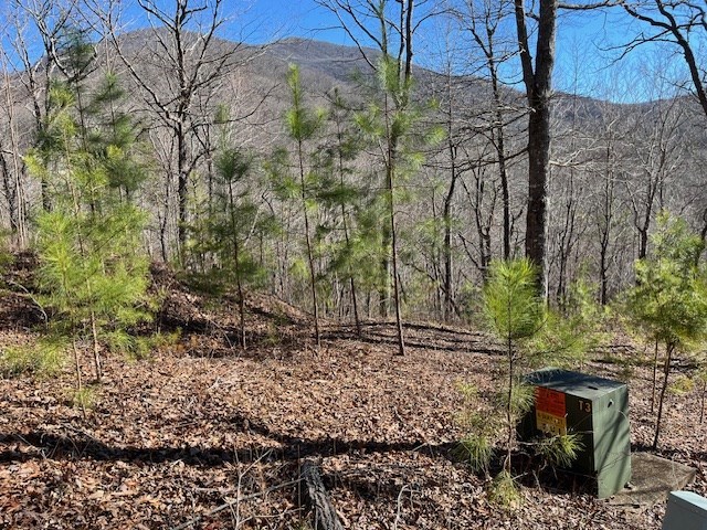 Lot 10 Mountain Valley View Property Photo 8