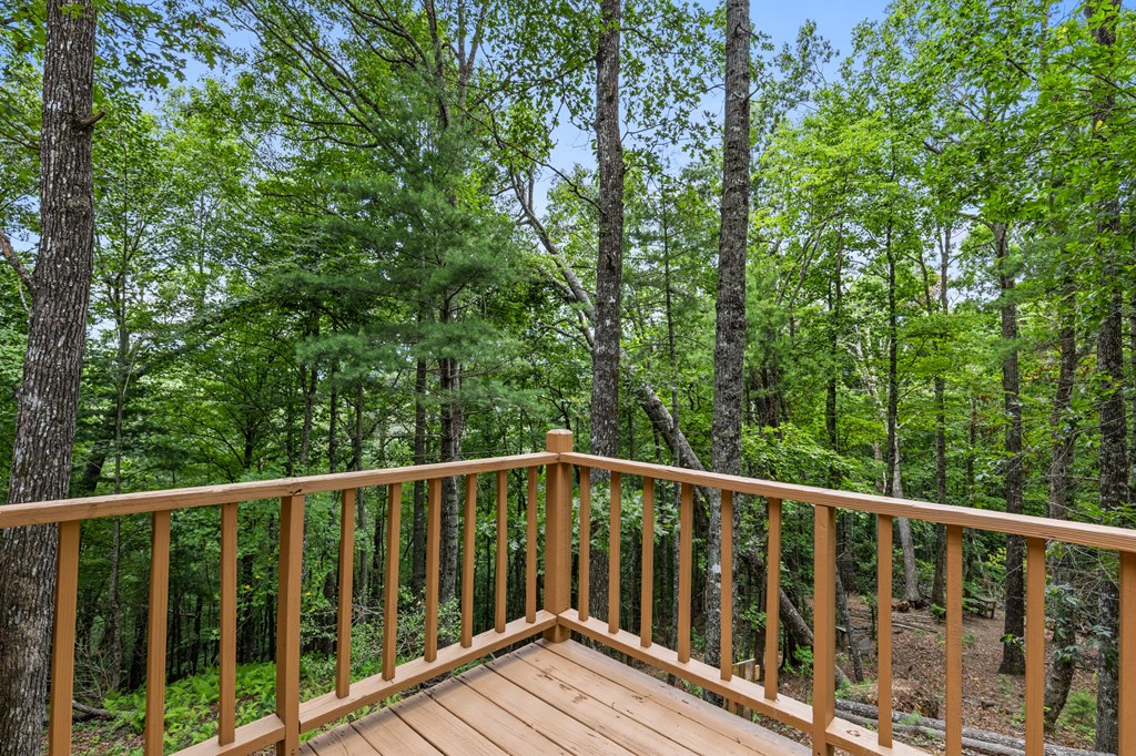 329 Northside Mountain Road Property Photo 20