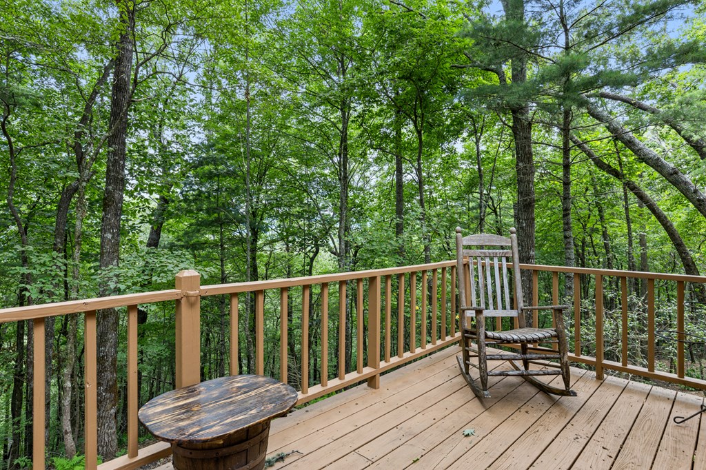 329 Northside Mountain Road Property Photo 21