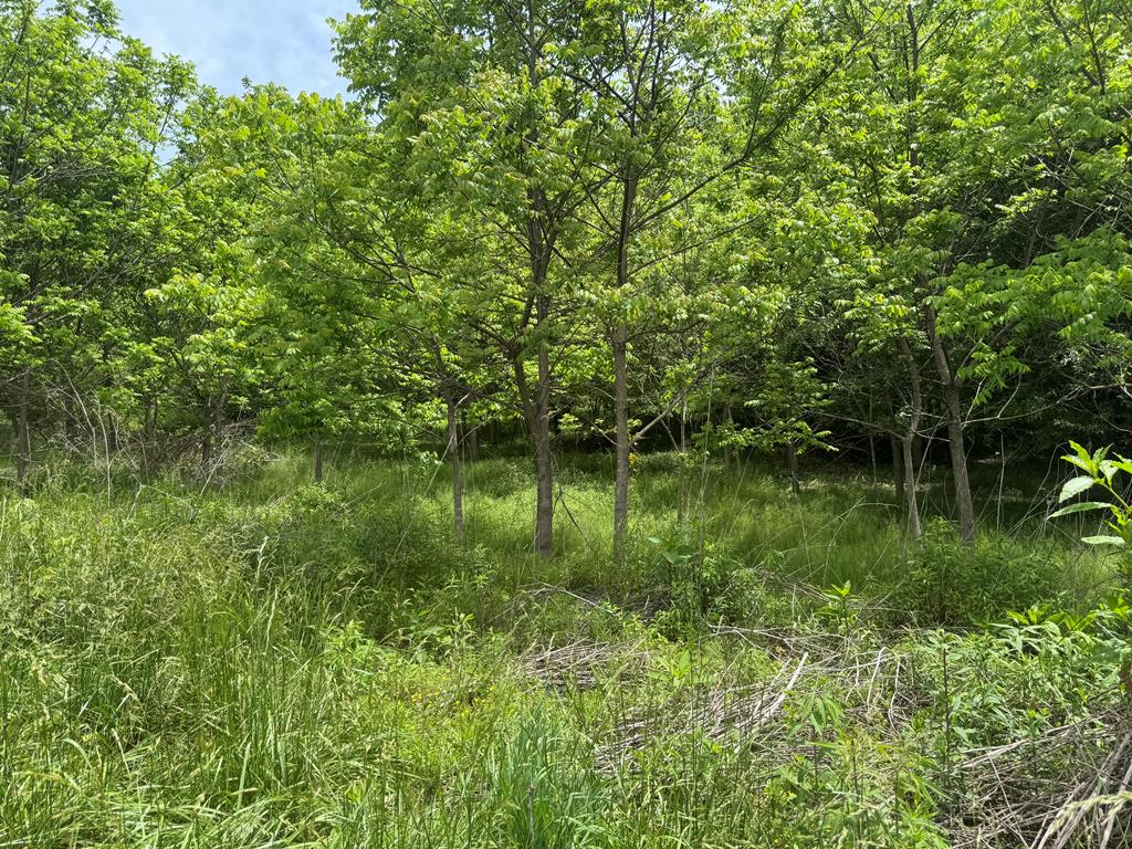 Lot 3 Still Meadows Court Property Photo 1