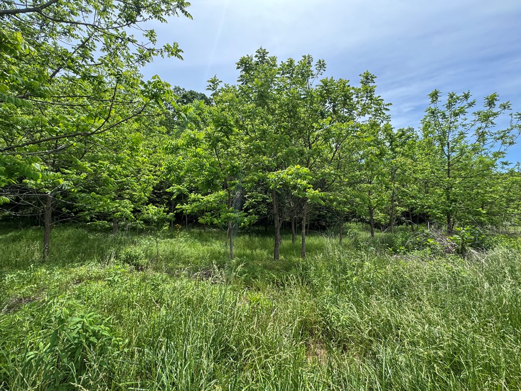 Lot 3 Still Meadows Court Property Photo 2
