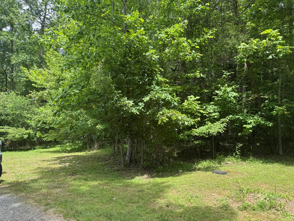 Lot 3 Still Meadows Court Property Photo 4
