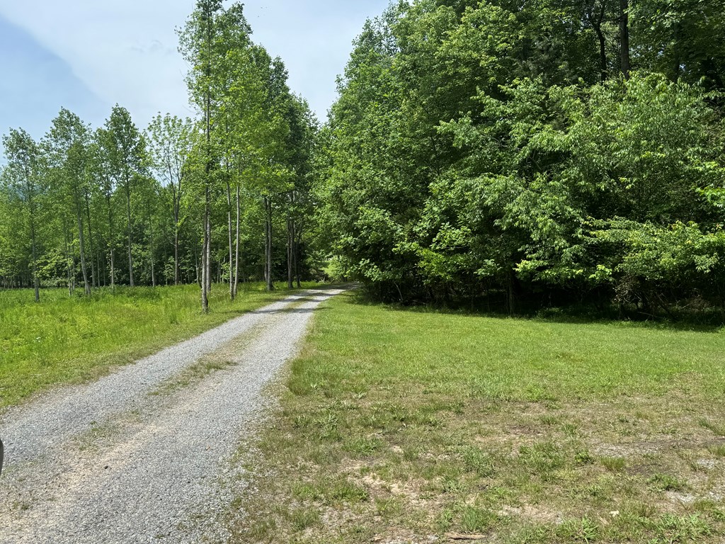 Lot 3 Still Meadows Court Property Photo 5