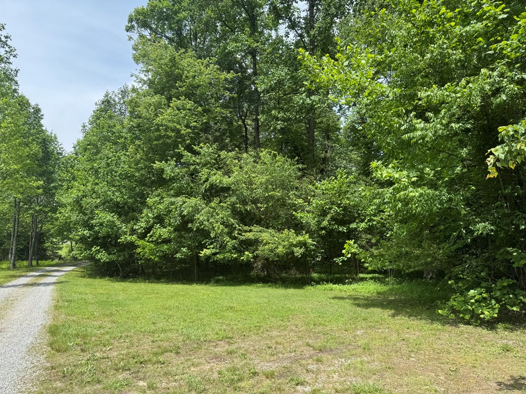 Lot 3 Still Meadows Court Property Photo 7
