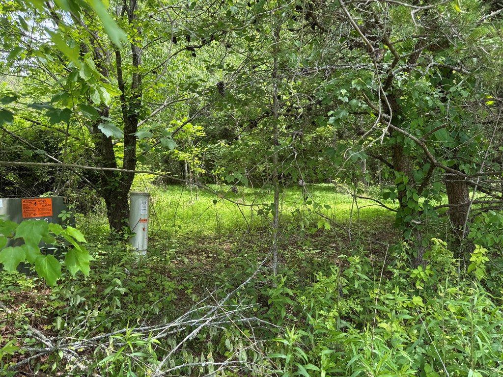 Lot 3 Still Meadows Court Property Photo 8