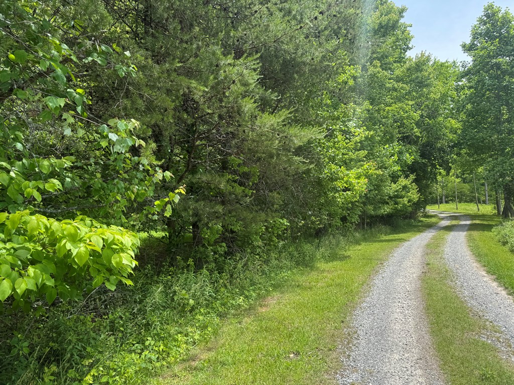 Lot 3 Still Meadows Court Property Photo 9