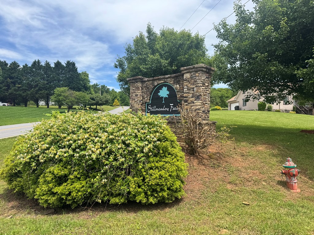 Lot 3 Still Meadows Court Property Photo 11