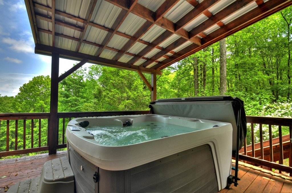 384 Mountain Highlands Court Property Photo 36