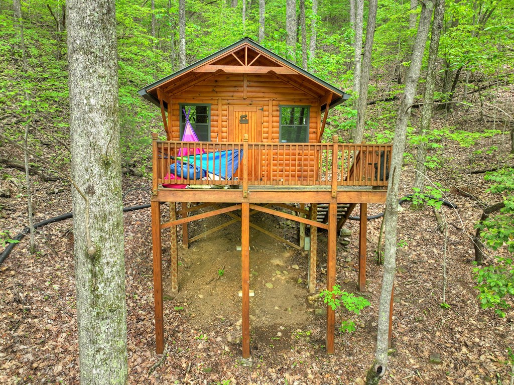 384 Mountain Highlands Court Property Photo 46