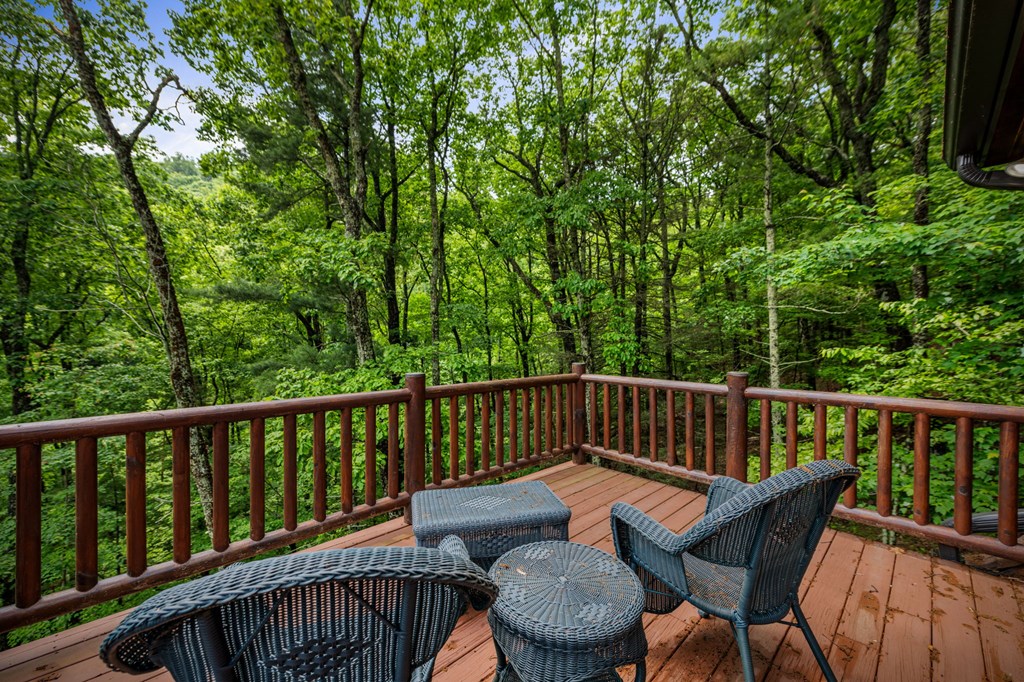 947 Mountain Oak Road Property Photo 65