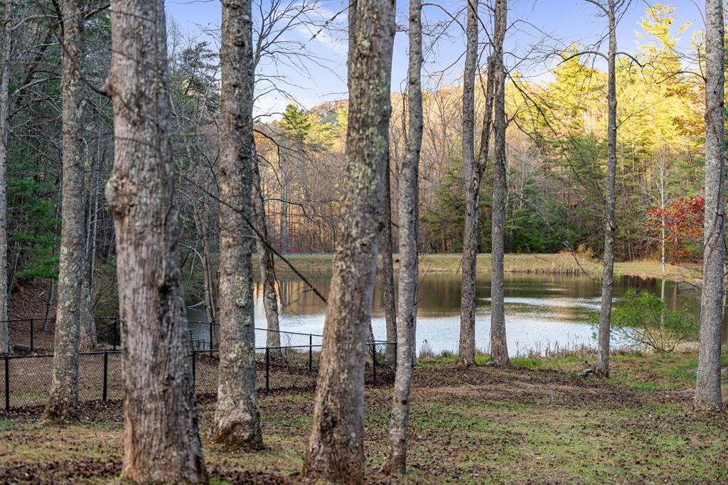 947 Mountain Oak Road Property Photo 88