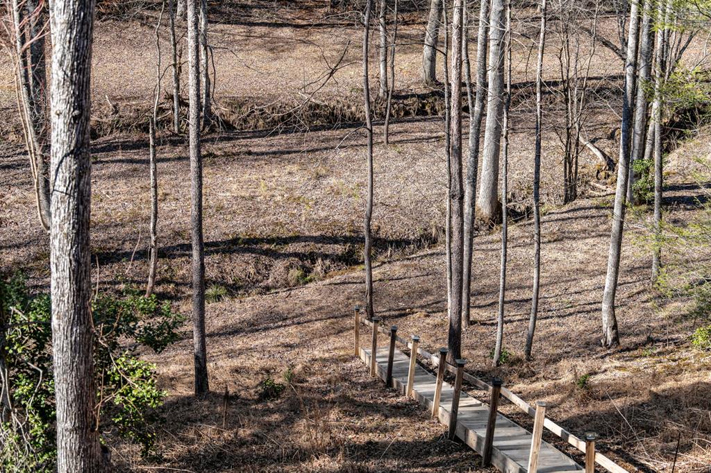 87 Lonesome Dove Path Property Photo 12