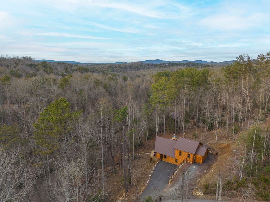 87 Lonesome Dove Path Property Photo 58