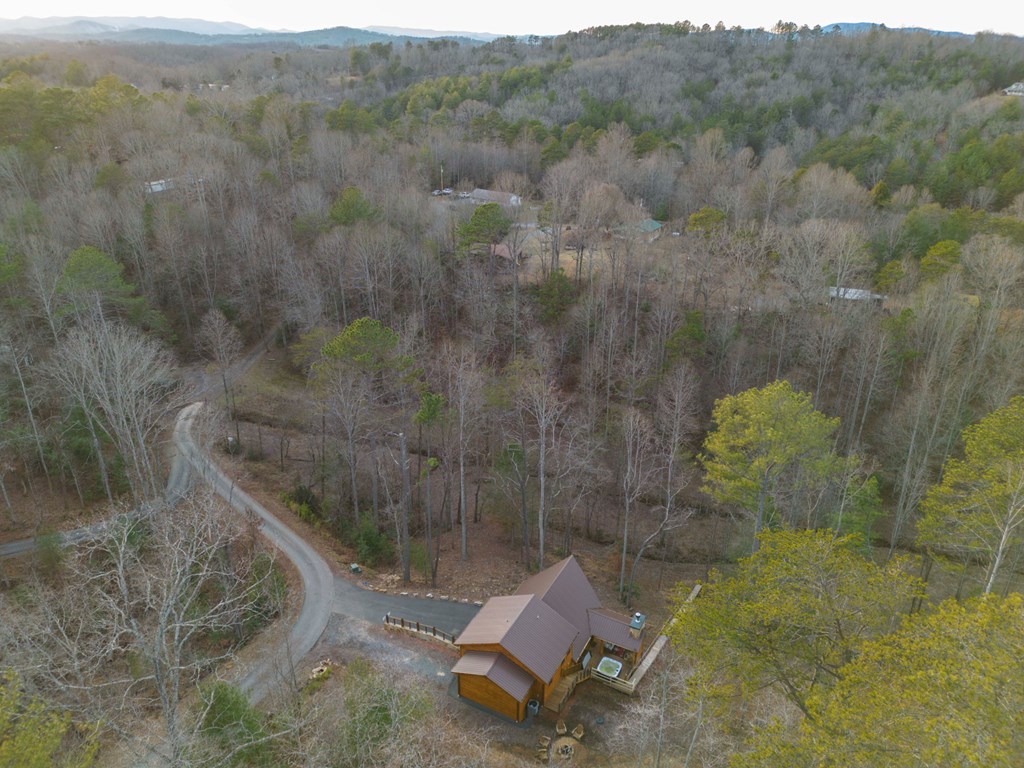 87 Lonesome Dove Path Property Photo 60