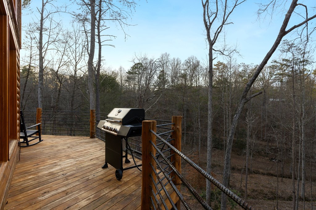 87 Lonesome Dove Path Property Photo 63