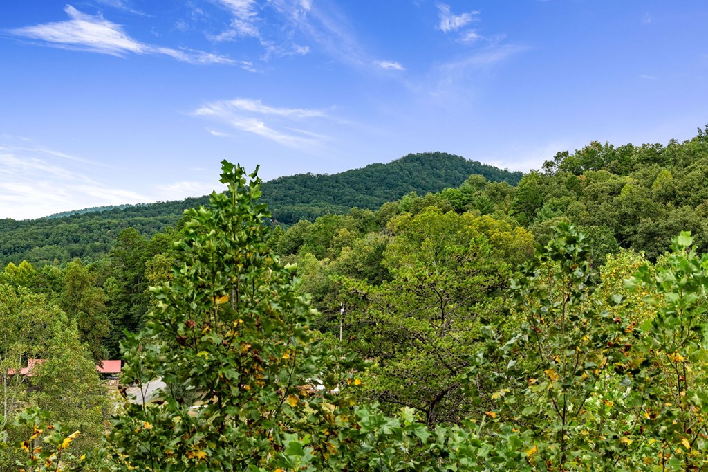 6 Gilliam Road Property Photo 2