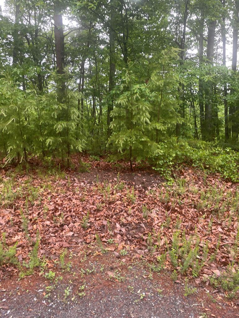 586 Galaxy Way Ne Property Photo 2