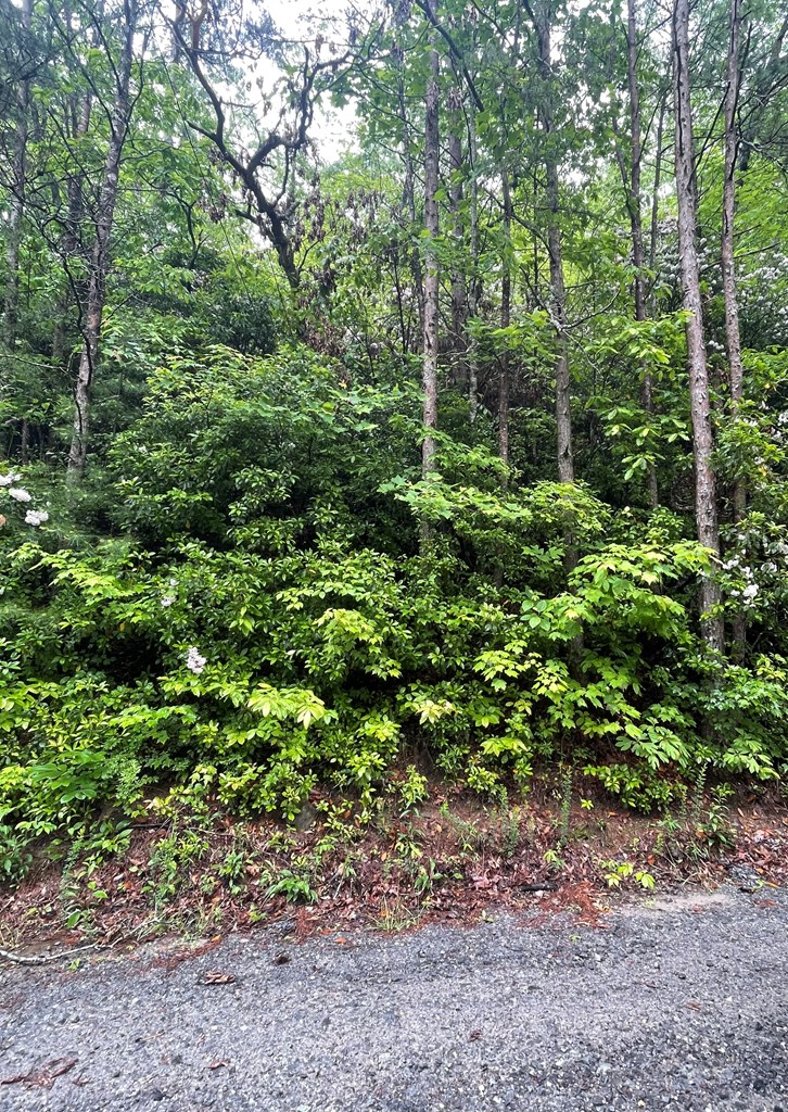 586 Galaxy Way Ne Property Photo 3