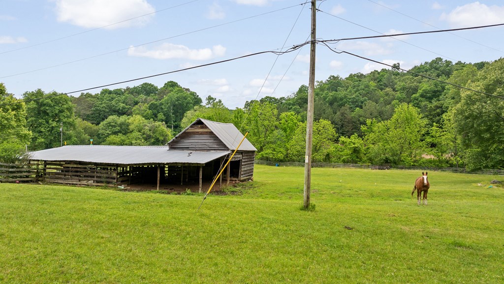 83 Licklog Road Property Photo 5