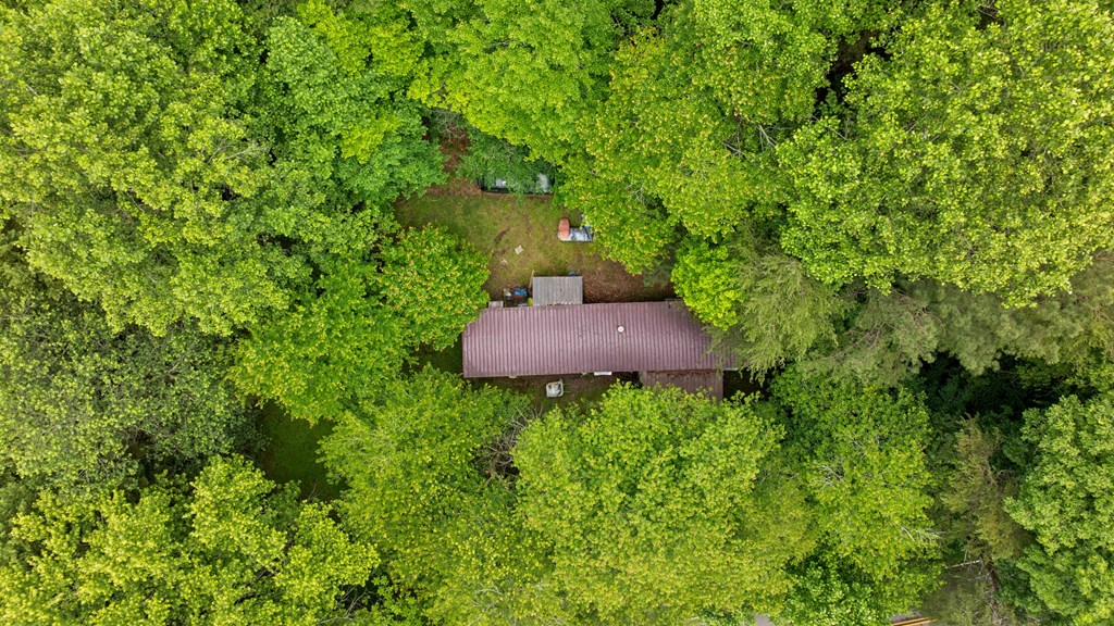 83 Licklog Road Property Photo 82