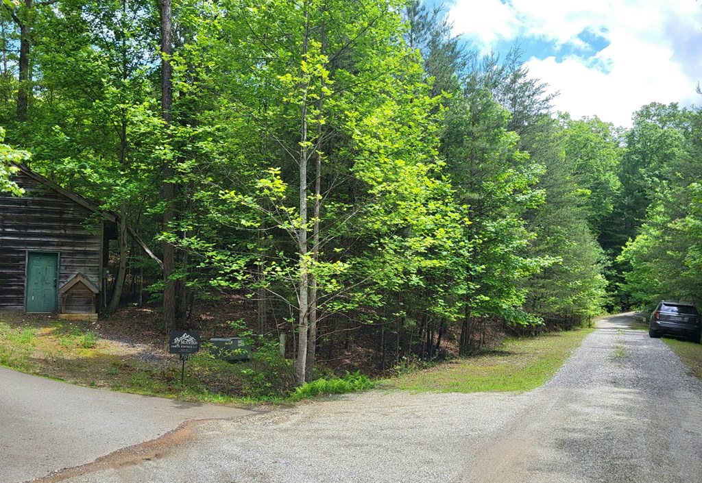 Lot 9 Folklore Court Property Photo 2