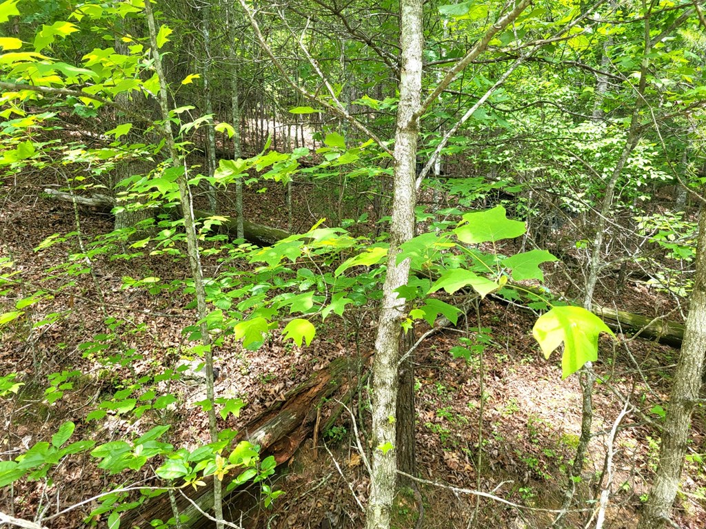 Lot 9 Folklore Court Property Photo 3