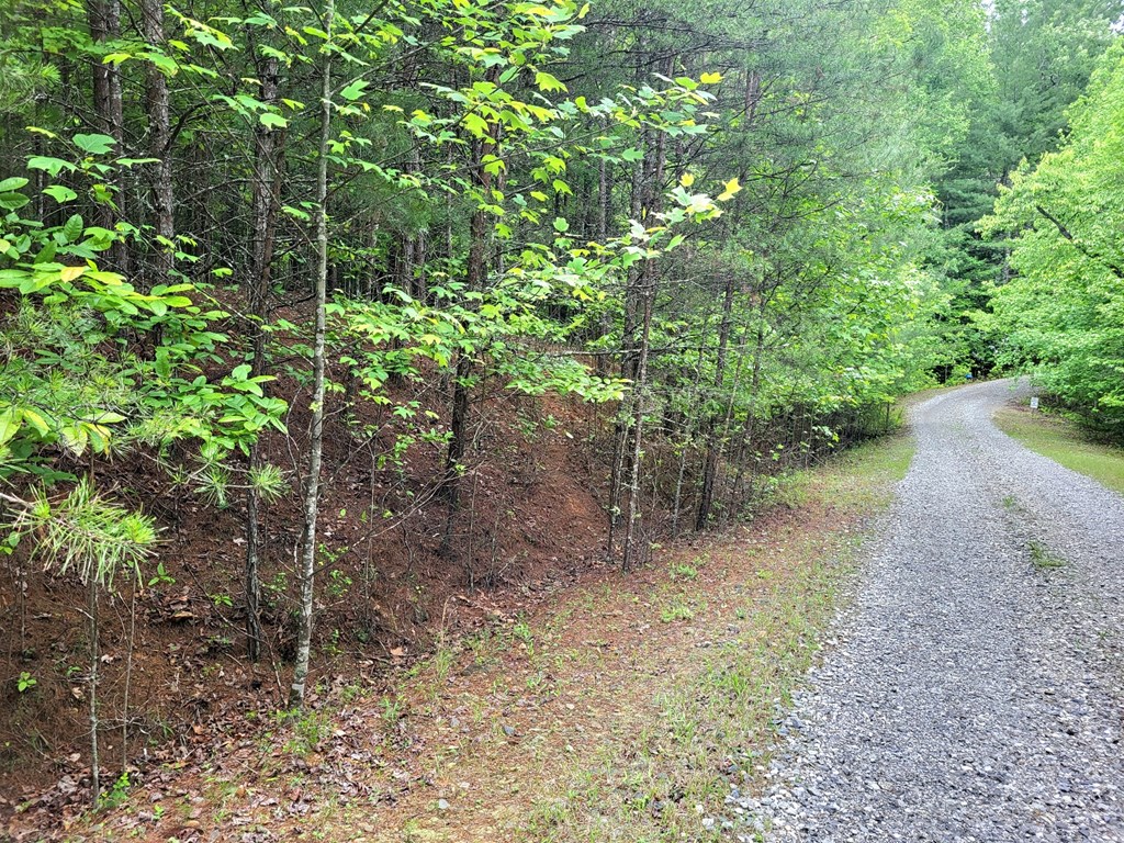 Lot 9 Folklore Court Property Photo 4