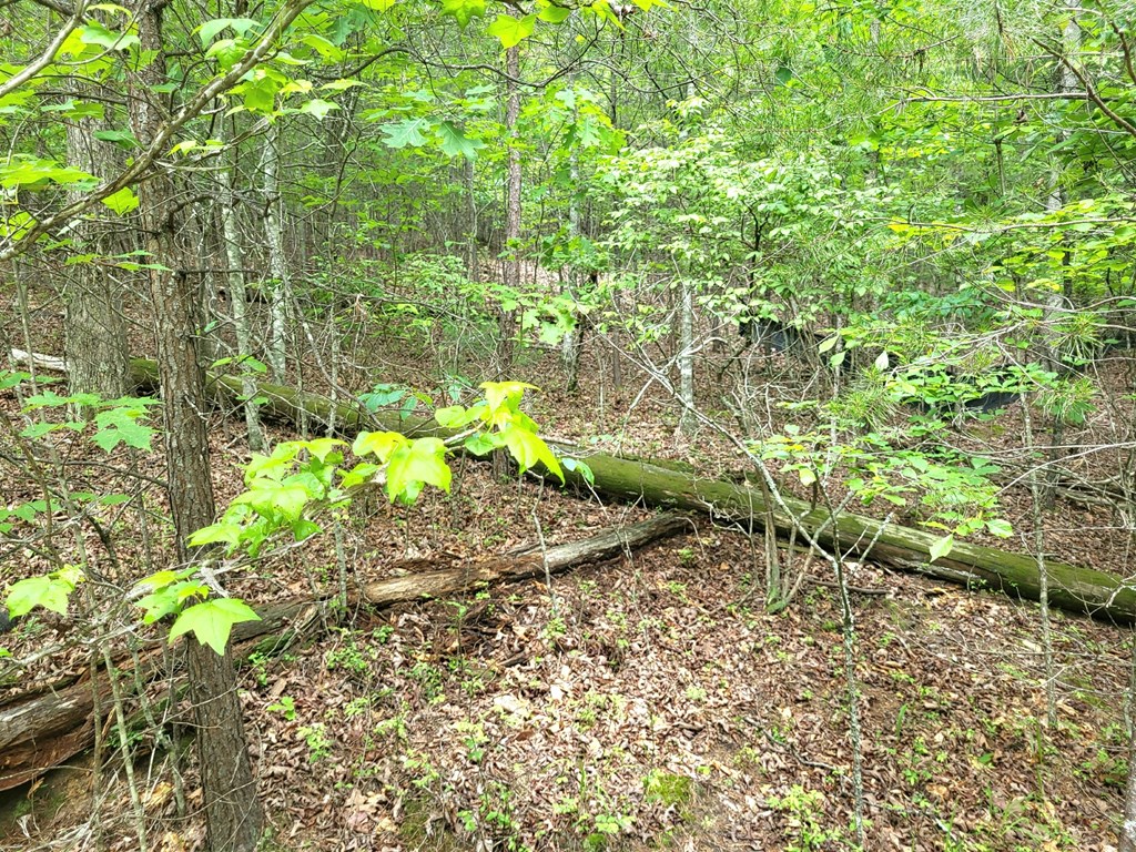 Lot 9 Folklore Court Property Photo 5