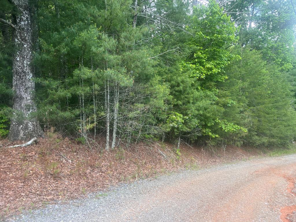 Lot 100 Ashe Court Property Photo 1