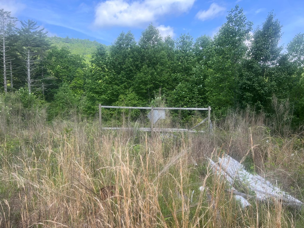 Lot 104 Ashe Court Property Photo 2