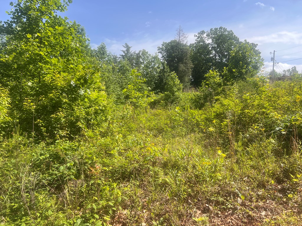 Lot 104 Ashe Court Property Photo 3