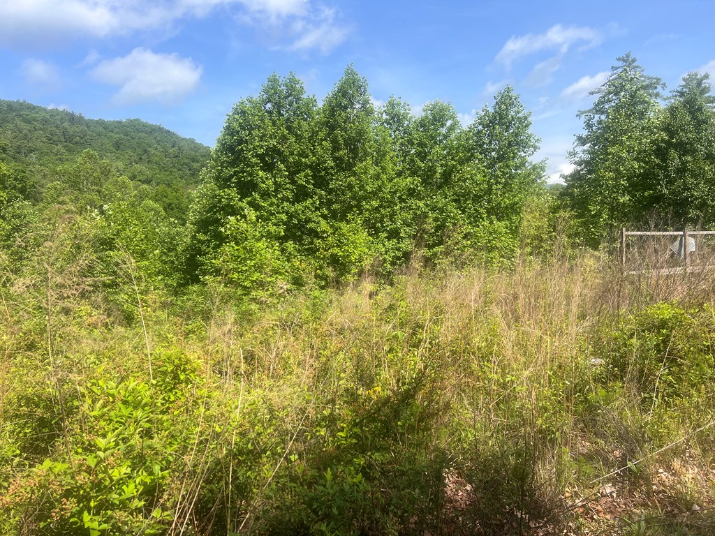 Lot 104 Ashe Court Property Photo 4