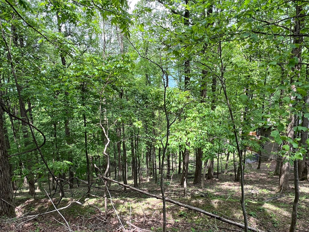 M163 Walnut Ridge Property Photo 2