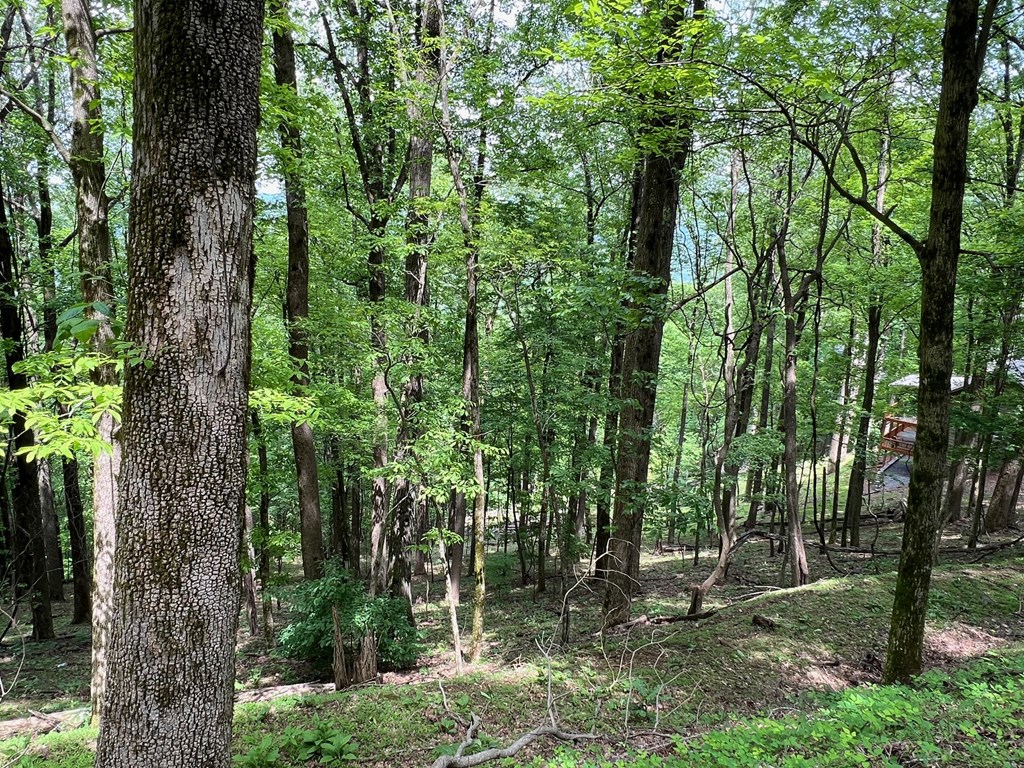 M163 Walnut Ridge Property Photo 16