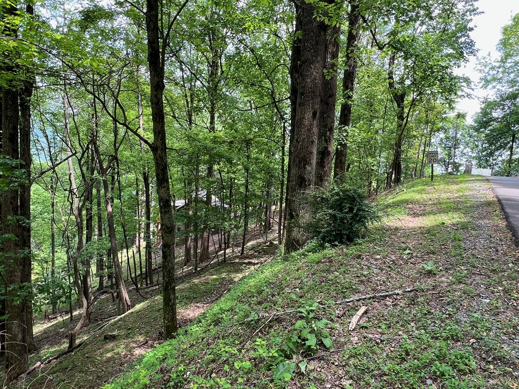 M163 Walnut Ridge Property Photo 17
