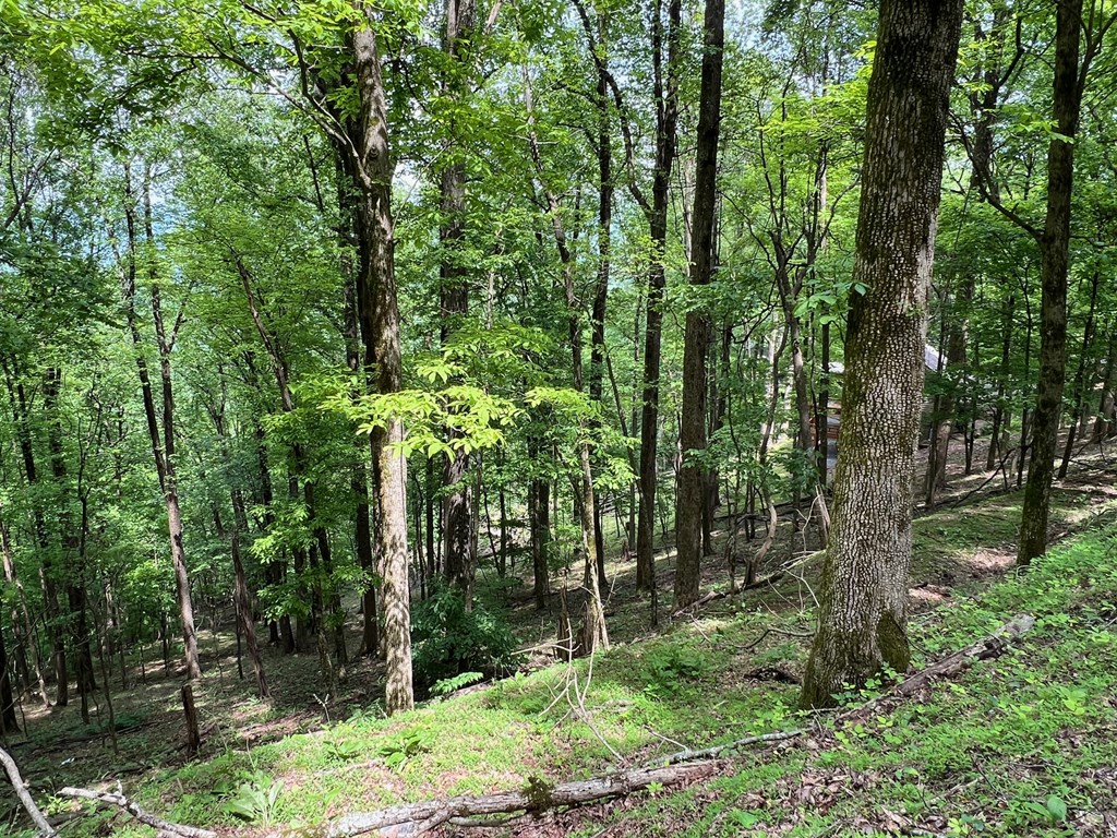 M163 Walnut Ridge Property Photo 19