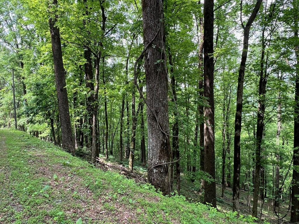 M164 Walnut Ridge Property Photo 4