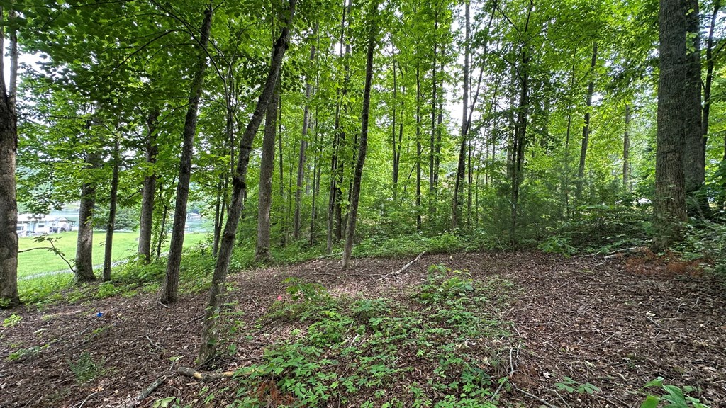 Lot 14 Old Hwy 64e Property Photo 3