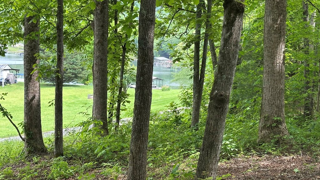 Lot 14 Old Hwy 64e Property Photo 4