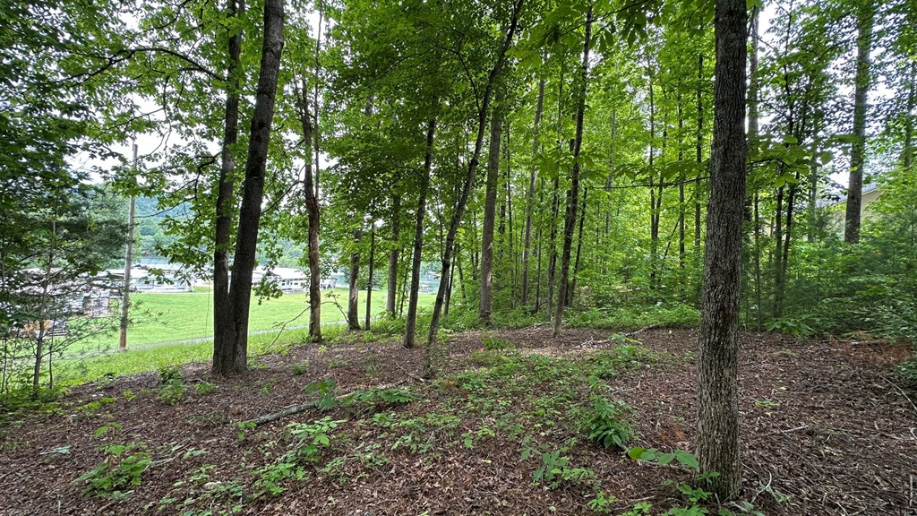 Lot 14 Old Hwy 64e Property Photo 5